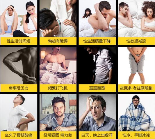 松古樹美益身寶