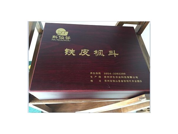 鐵皮石斛