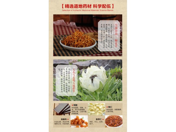 哲冠系列雪蓮蛹蟲草膏