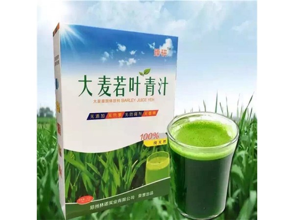 臻研大麥若葉青汁袋泡茶
