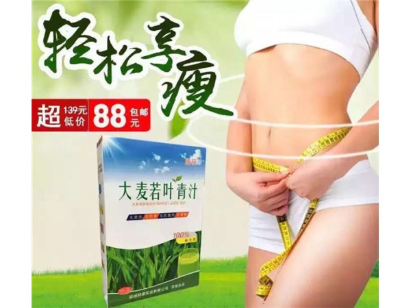 臻研大麥若葉青汁袋泡茶