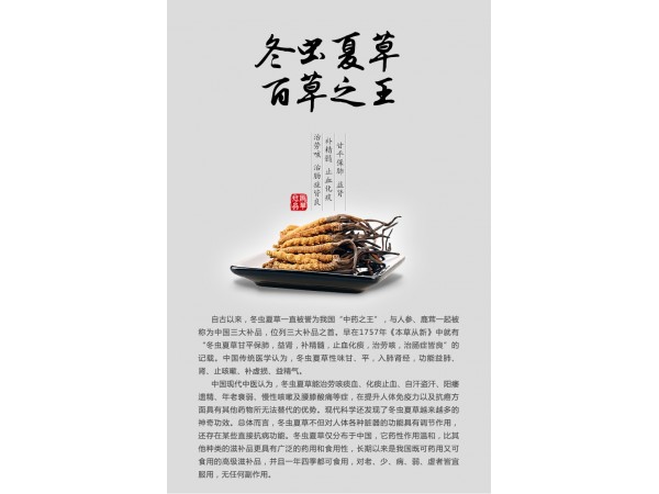 哲冠蟲草