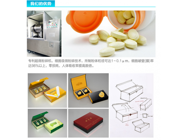 哲冠蟲草