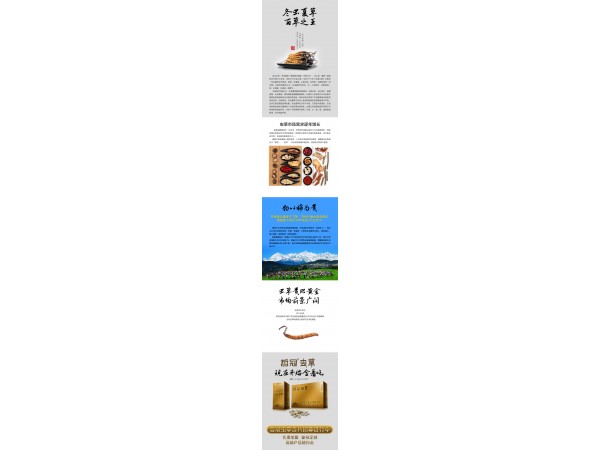 蟲草含片GMP廠家直供一塊二