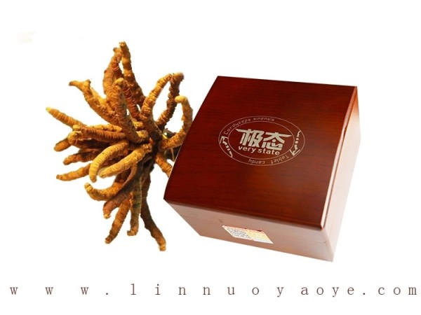 鄭州林諾冬蟲夏草正宗產(chǎn)家