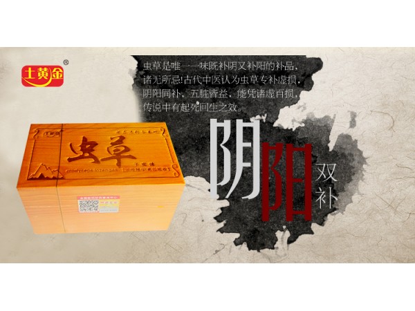 過(guò)節(jié)送禮土黃金蟲(chóng)草私人訂制