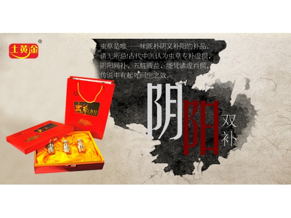 過(guò)節(jié)送禮土黃金蟲(chóng)草私人訂制