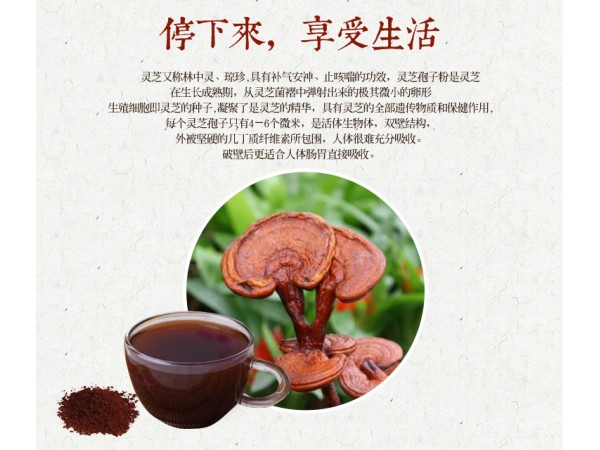 靈芝破壁孢子粉代理招商