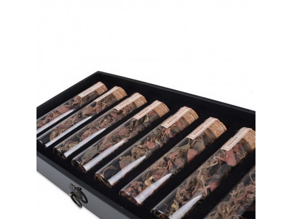 仁溪堂金線蓮·R0301（臺灣品種）