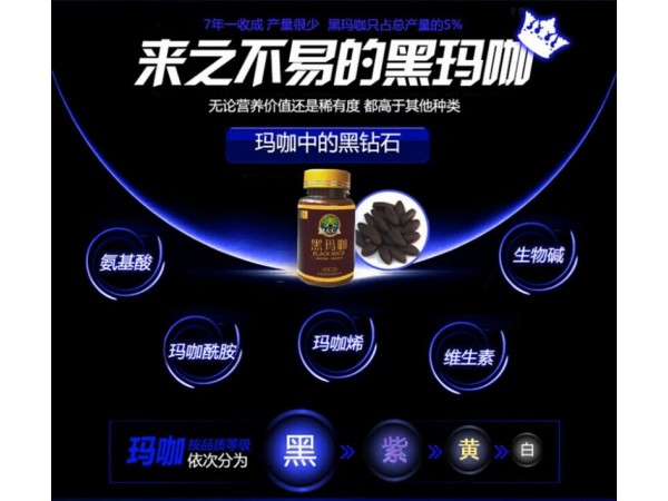 尚醫(yī)黑瑪咖精片