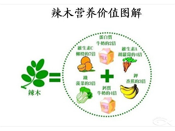 國禮-辣木葉片
