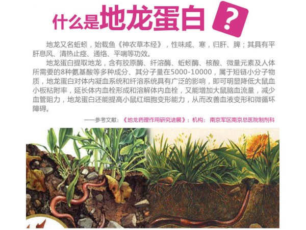 會銷禮盒-地龍蛋白