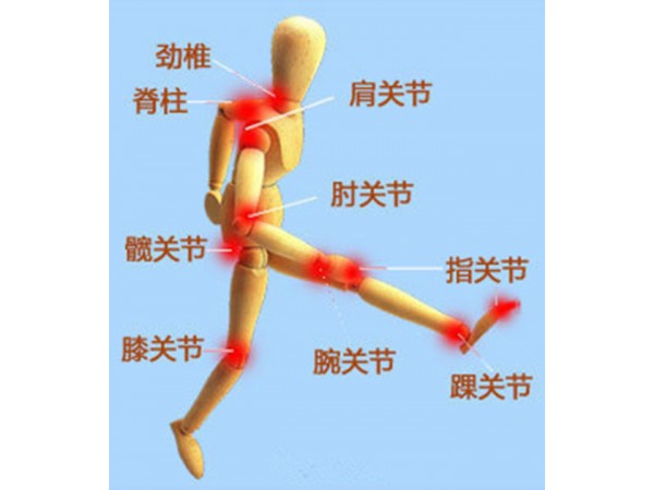 骨膠原蛋白片