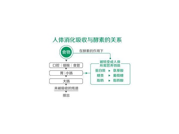 酵素復(fù)合片