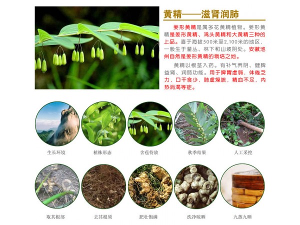 會(huì)銷(xiāo)禮盒-黃精牡蠣肽片