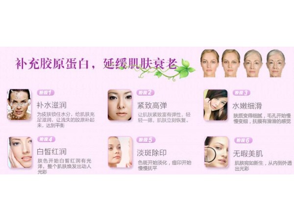 魚膠原蛋白維C維E粉