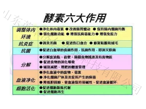 臺灣進口酵素復合片