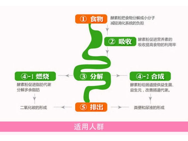 臺灣進口酵素復合片