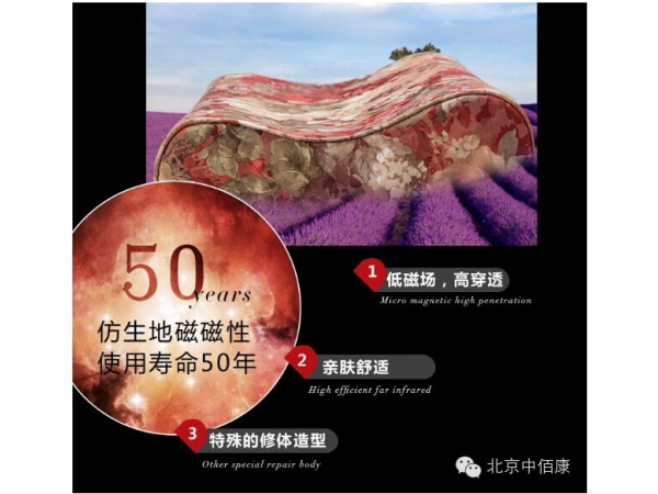 中佰康仿生地磁床墊