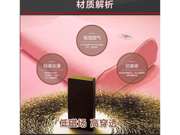 中佰康仿生地磁貴族枕