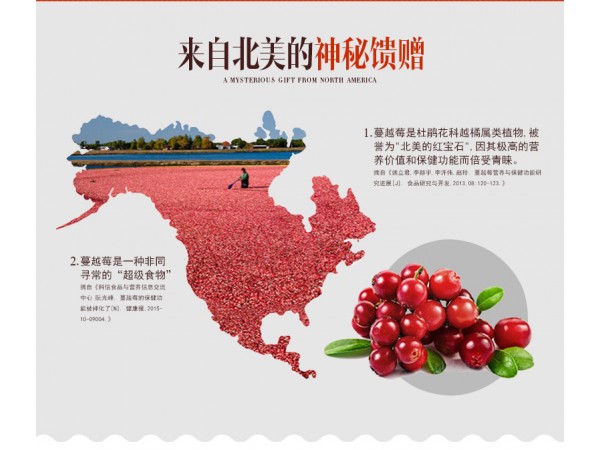 安美瑞牌 蔓越莓片