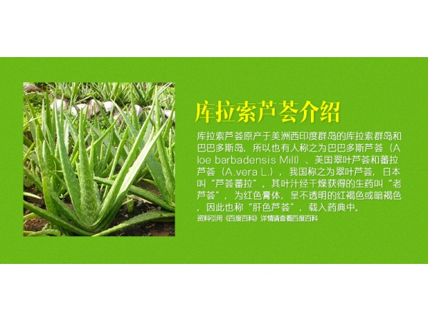 安美瑞牌 庫拉索蘆薈片