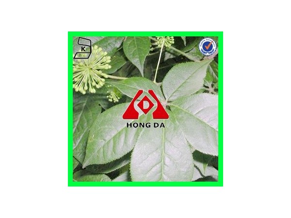 陜西宏達(dá)植物化工有限公司