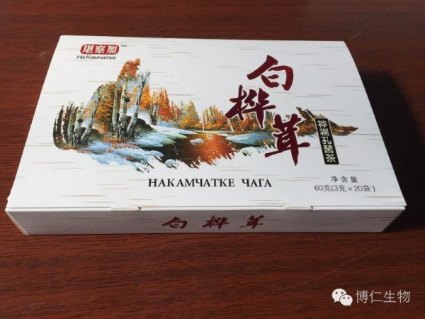 樺褐孔菌