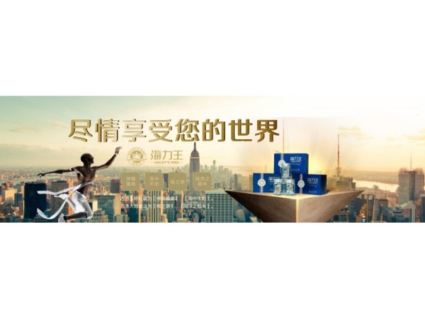 海力王