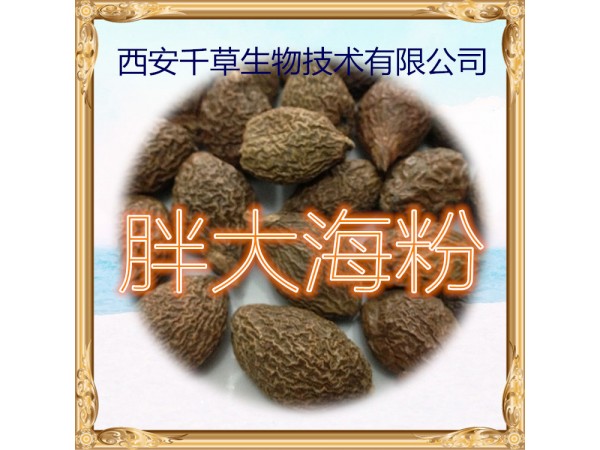 胖大海提取物 全水溶 藥食同源 西安千草現(xiàn)貨