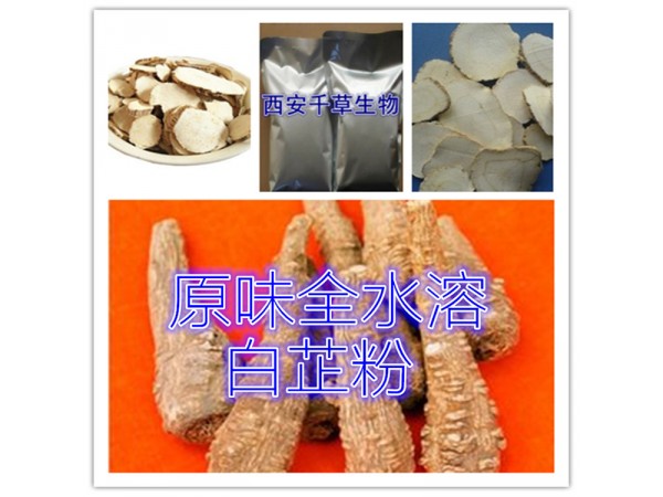 白芷提取物 全水溶 藥食同源 西安千草現(xiàn)貨