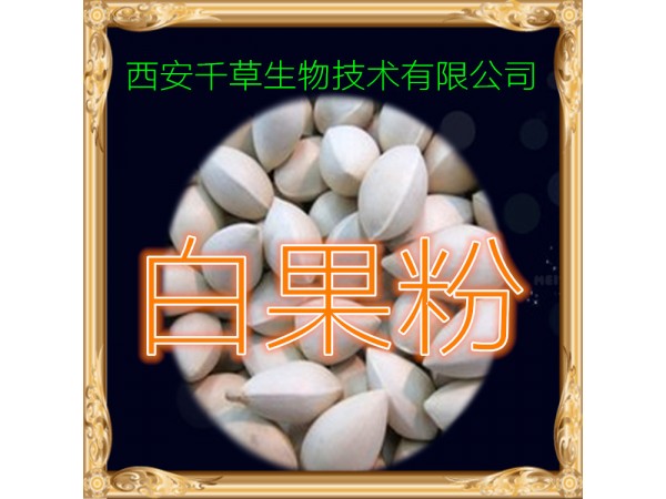 白果提取物 全水溶 藥食同源 西安千草現(xiàn)貨