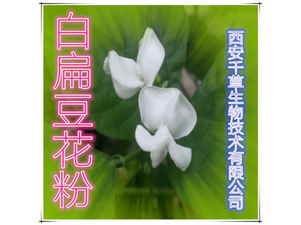 白扁豆提取物 全水溶 藥食同源 西安千草現(xiàn)貨