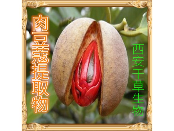 肉豆蔻提取物 全水溶 藥食同源 西安千草現(xiàn)貨