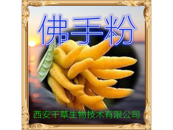 佛手提取物 全水溶 藥食同源 西安千草現(xiàn)貨
