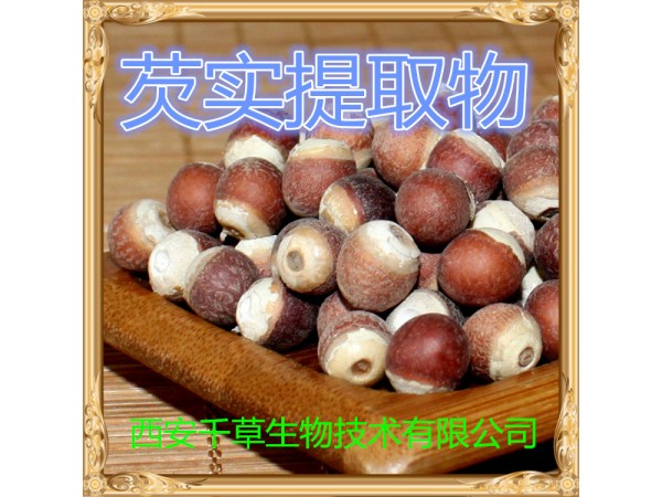 芡實提取物 全水溶 藥食同源 西安千草現(xiàn)貨
