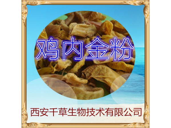 雞內(nèi)金提取物 全水溶 藥食同源 西安千草現(xiàn)貨
