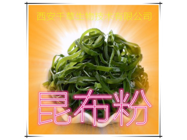 昆布提取物 全水溶 藥食同源 西安千草現(xiàn)貨