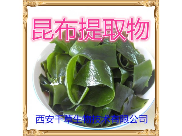 昆布提取物 全水溶 藥食同源 西安千草現(xiàn)貨