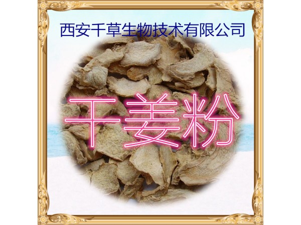砂仁提取物 全水溶 藥食同源 西安千草現(xiàn)貨