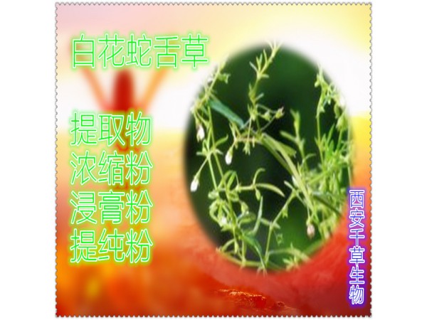 枳椇子提取物 全水溶 藥食同源 西安千草現(xiàn)貨