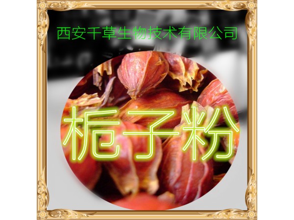 核桃仁提取物 全水溶 藥食同源 西安千草現(xiàn)貨