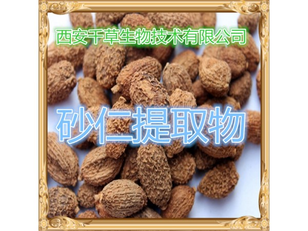 砂仁提取物 全水溶 藥食同源 西安千草現(xiàn)貨