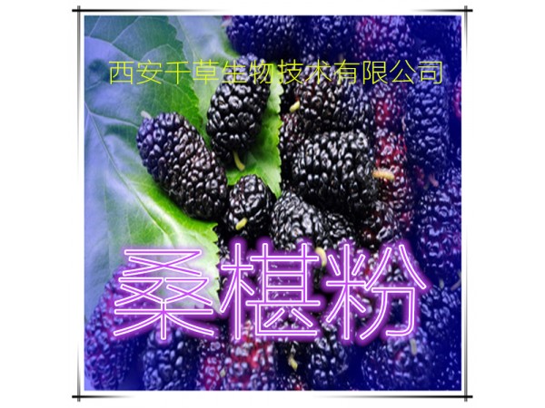 桑椹提取物 全水溶 藥食同源 西安千草現(xiàn)貨