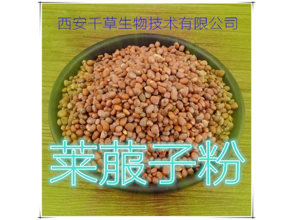 萊菔子提取物 全水溶 藥食同源 西安千草現(xiàn)貨
