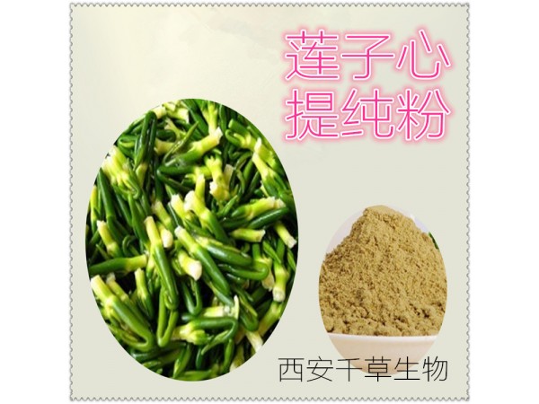 蓮子提取物 全水溶 藥食同源 西安千草現(xiàn)貨