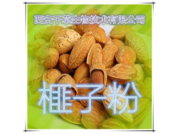 榧子提取物 全水溶 藥食同源 西安千草現(xiàn)貨
