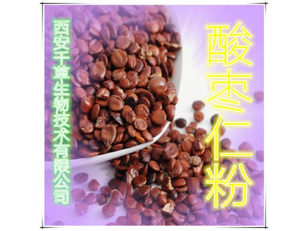 酸棗仁提取物 全水溶 藥食同源 西安千草現(xiàn)貨