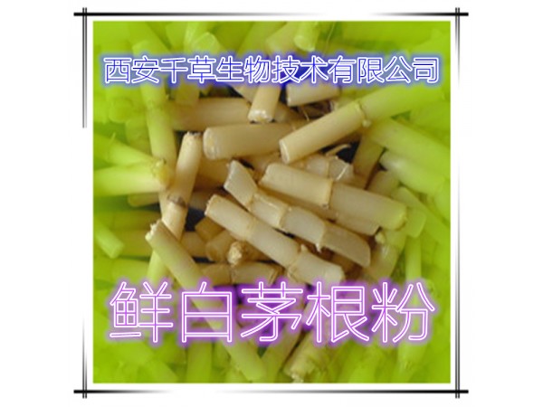 鮮白茅根提取物 全水溶 藥食同源 西安千草現(xiàn)貨