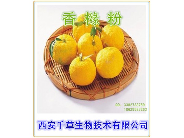 馬齒莧提取物 全水溶 藥食同源 西安千草現(xiàn)貨